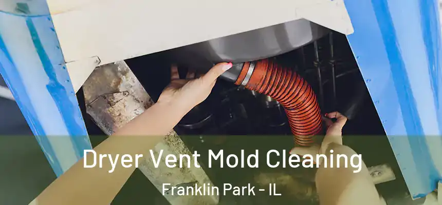 Dryer Vent Mold Cleaning Franklin Park - IL