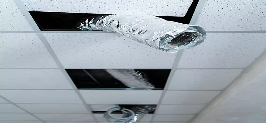 Affordable HVAC Sanitizing After Pest Removal in Franklin Park