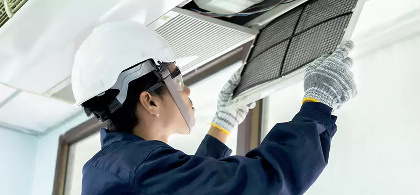 Our Mold & Mildew Removal from Air Ducts Services in Franklin Park, IL