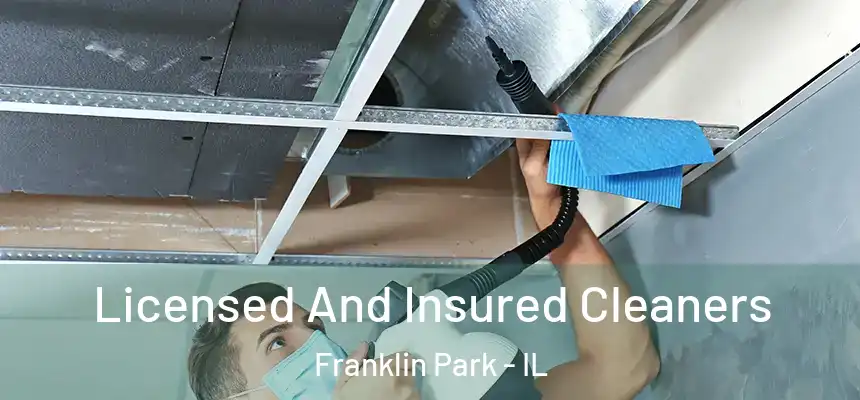  Licensed And Insured Cleaners Franklin Park - IL