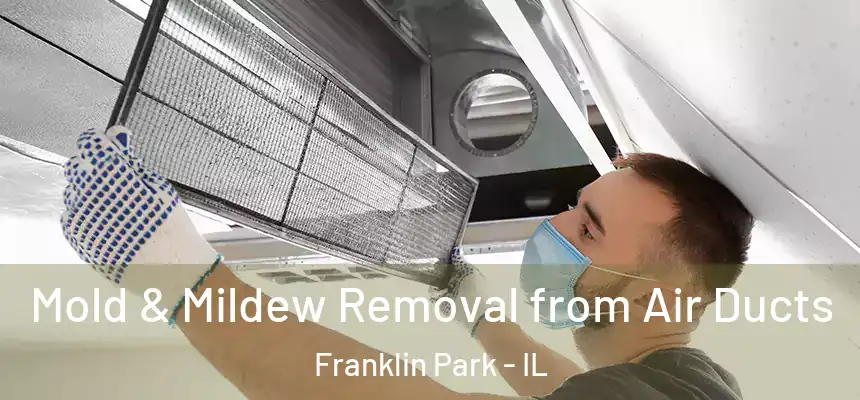  Mold & Mildew Removal from Air Ducts Franklin Park - IL