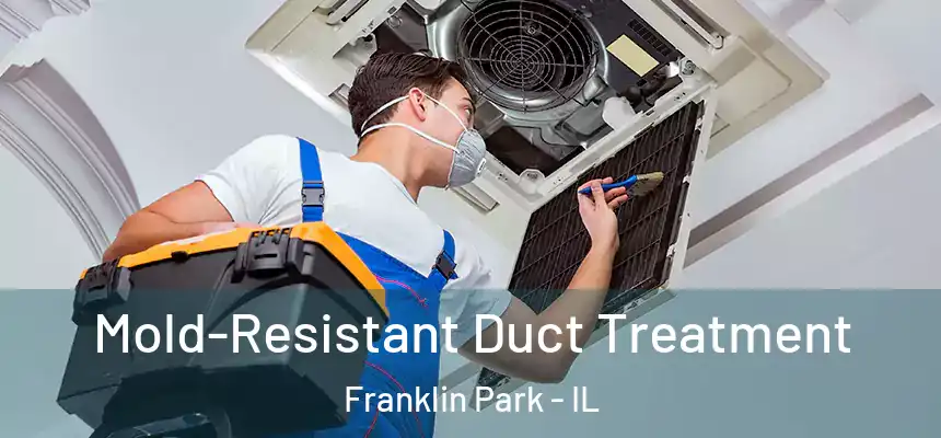  Mold-Resistant Duct Treatment Franklin Park - IL