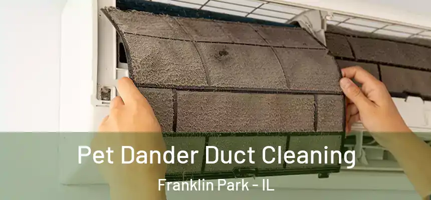 Pet Dander Duct Cleaning Franklin Park - IL