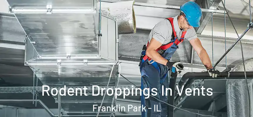  Rodent Droppings In Vents Franklin Park - IL