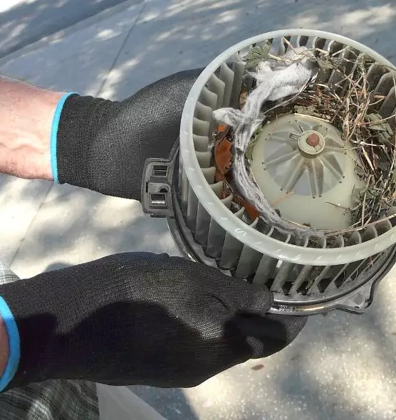 About Air Duct Rat Removal in Franklin Park, IL