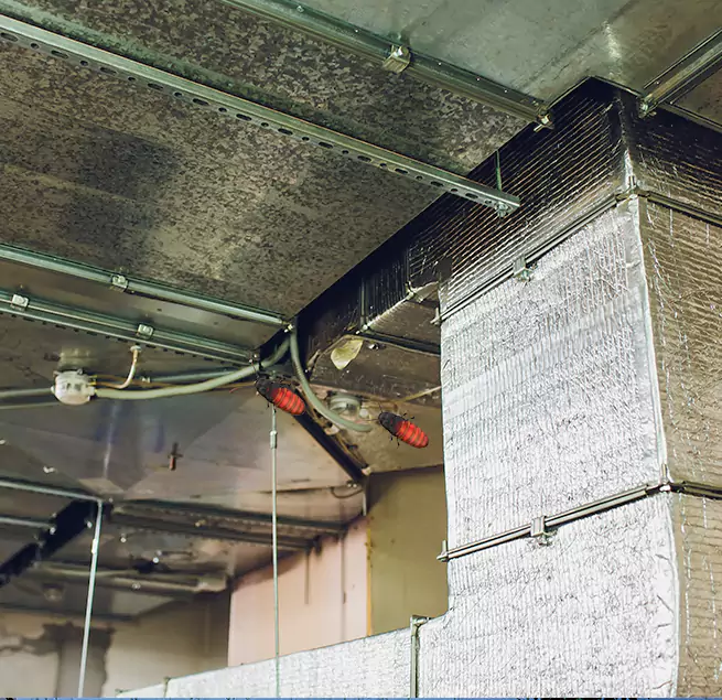 Why Homeowners & Businesses Trust Us in Franklin Park, IL?