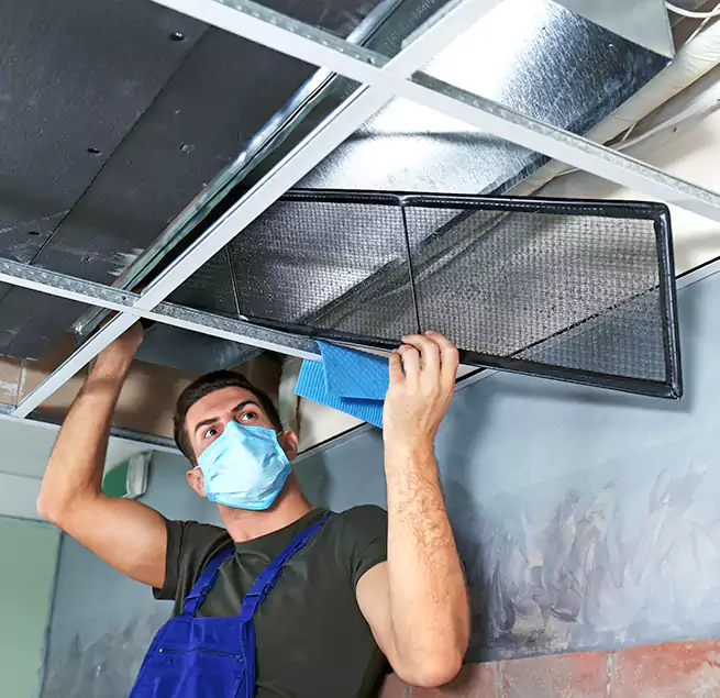 Why Homeowners Businesses Trust Us in Franklin Park, IL